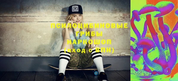 ГАЛЛЮЦИНОГЕННЫЕ ГРИБЫ Алзамай